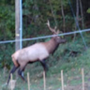 Meet your Posher, Dorothy